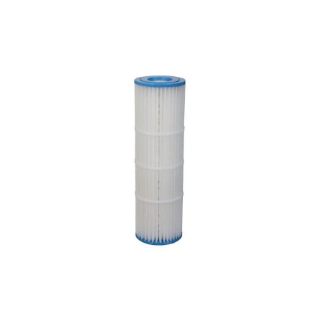 Cartouche pour filtre Clean & Clear Plus Pentair