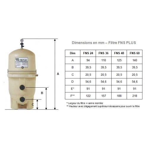 Filtre à Diatomée TRITON Pentair FNS Plus