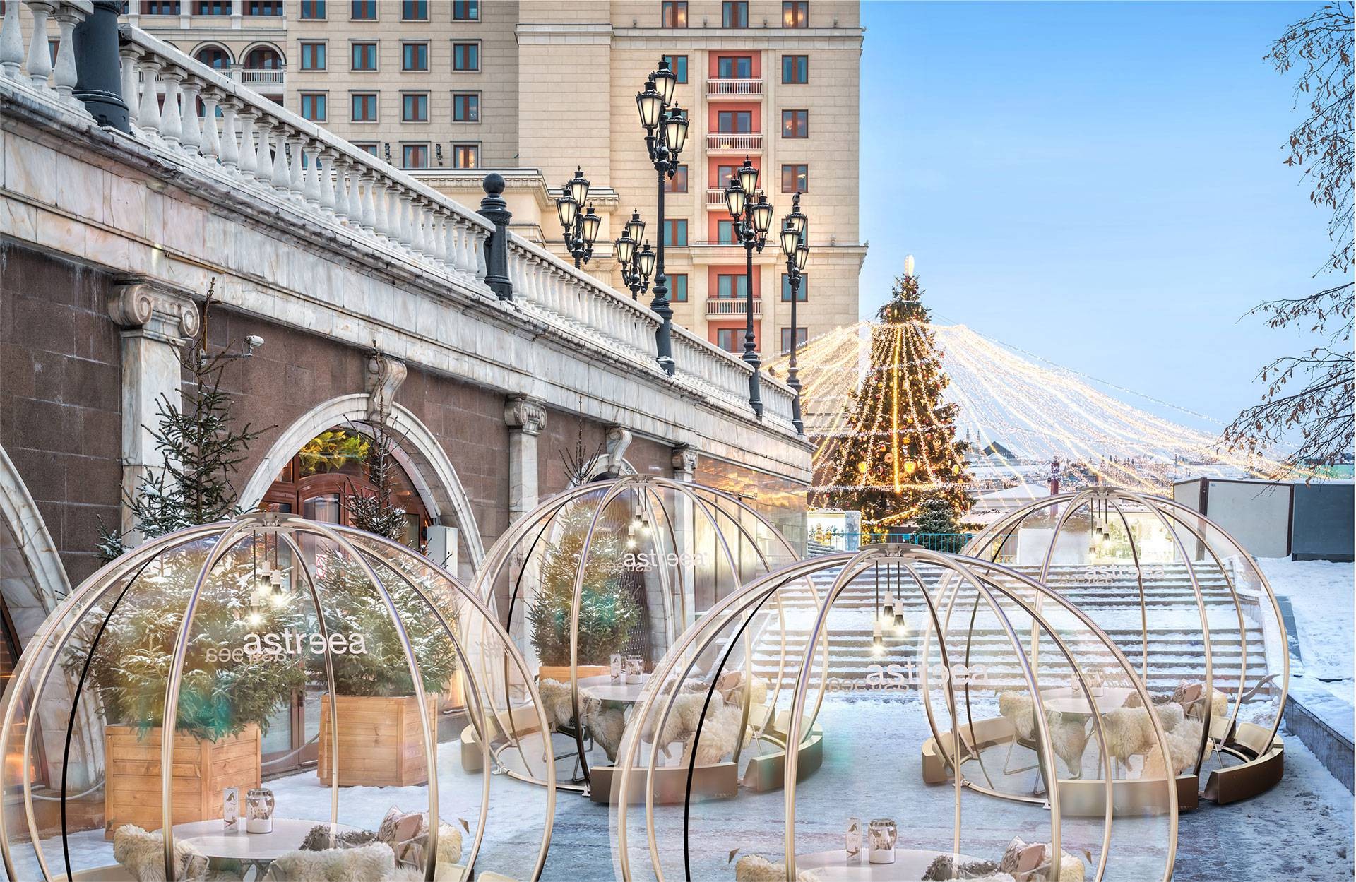 Dôme Igloo OSLO
